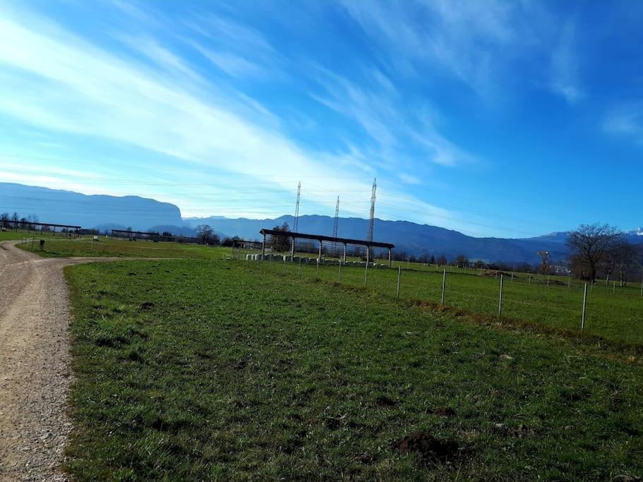 Zirovnica Apartma Juli מראה חיצוני תמונה