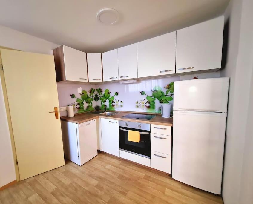 Zirovnica Apartma Juli מראה חיצוני תמונה