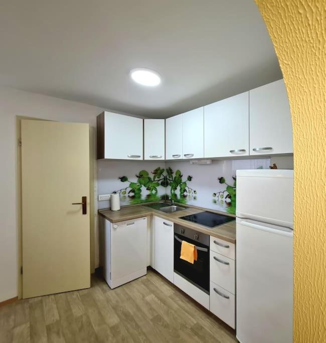 Zirovnica Apartma Juli מראה חיצוני תמונה
